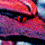 :iconathaleon: