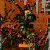 :iconatharwa: