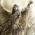 :iconatheleon1023: