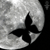 :iconathena2809: