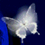 :iconAtherium713: