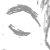 :iconathnepheil-art:
