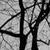 :iconathos-gfx: