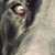 atilthia :iconatilthia: