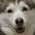 :iconatlops: