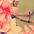 :iconatm0sphere: