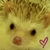 :iconatmosfeark-os: