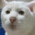 :iconatombombday: