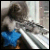 :iconatomical: