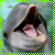 :iconatomicdolphin: