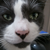 :iconatomicraygun: