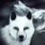 :iconatornpath: