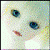 :iconatropane: