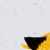 :iconatshushii: