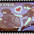 :iconatt1234: