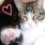 :iconattack-kat: