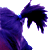 :iconattack-kitten: