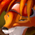 :iconattackcheetah: