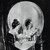 :iconattic-of-roses: