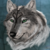 :iconattika-kuhn: