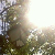 :iconattractive-cherry:
