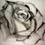 :iconattraversiamoart:
