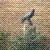 :iconaturnbull09: