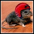 :iconatx: