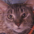 :iconau-lunaria: