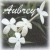 :iconaubreyelle: