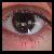 :iconauburn-child: