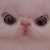 :iconaubykinz: