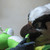 :iconaudie-gryph: