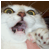 audiocrunch :iconaudiocrunch:
