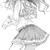 AudraTheHedgewolf :iconaudrathehedgewolf:
