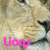 :iconaudri-lion: