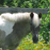 :iconaugustmistphotos: