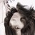 :iconaujaa: