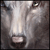 Aunerit :iconaunerit: