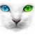 :iconauntjeannie: