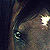 :iconauredd:
