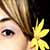 :iconaurela: