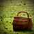 :iconaurella-la-belle: