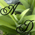 :iconaurora-dragon: