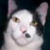 :iconaurora-stargaze:
