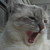 :iconauroraborealisrox: