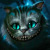 :iconaurorafire: