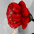 :iconauroralee: