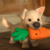 :iconaurorassp1rit:
