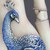 :iconauroriha-of-chaos: